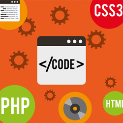 program coding website vector image