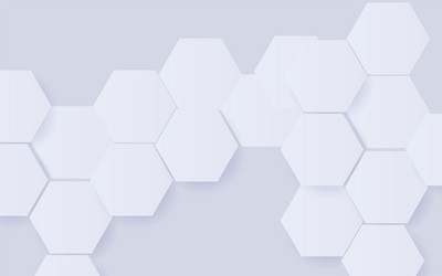abstract white hexagonal geometric background vector image