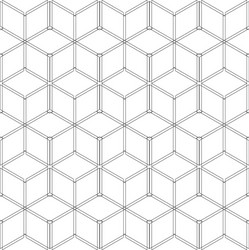 Wireframe Geometric Pattern vector image