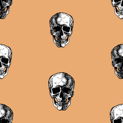 Human skull seamless pattern sketch Royalty Free Vector