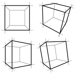Wireframe Cube Renderings vector image