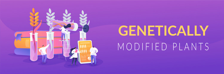 Genetically modified plants concept banner header Vector Image