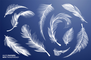 white realistic bird feathers set vector image