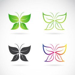 Butterfly Collection vector image