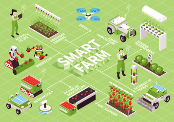 smart farming isometric flowchart vector image