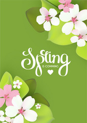 spring background with flowers and lettering vector