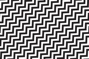 zigzag pattern in white and black vector image