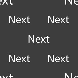 next sign icon navigation symbol seamless pattern vector image