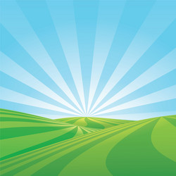 Sunny background vector