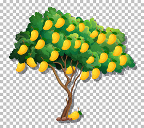 Mango tree on transparent background vector