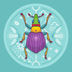 insect beetle bug design elements line graphic vector image