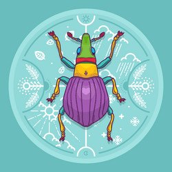 Insect beetle bug design elements line graphic vector