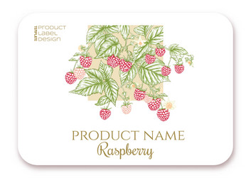 raspberry ripe berries on branch template vector image