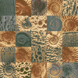 Ancient Seashell Fossil Pattern vector image