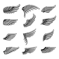 Vintage Wing Icon Set Vector Image