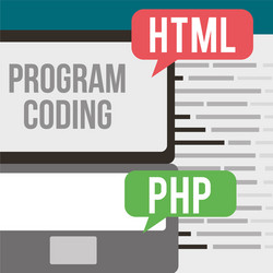 program coding website vector image