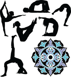 Diverse Yoga Poses & Mandala Art Vector Image