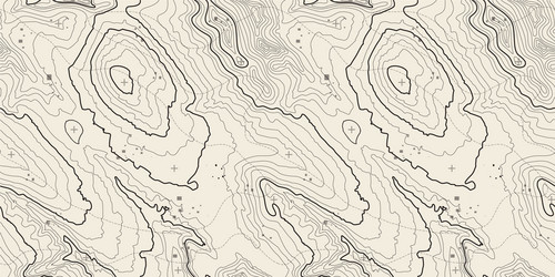 seamless pattern topographic map background vector image