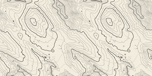 Seamless pattern topographic map background vector