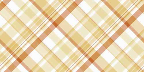 warm plaid pattern with intersecting lines vector image