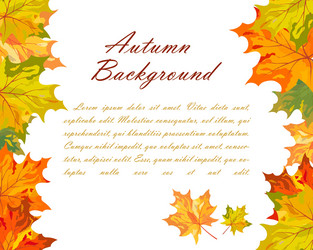 Wooden frame with autumn leaves rowan and maple Vector Image
