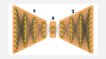 detailed autoencoder network encoding vector image