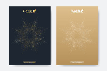 modern template for brochure leaflet vector image