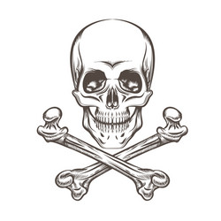 Skull and Crossbones Symbol Vector Image