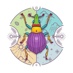 Insect beetle bug design elements line graphic vector