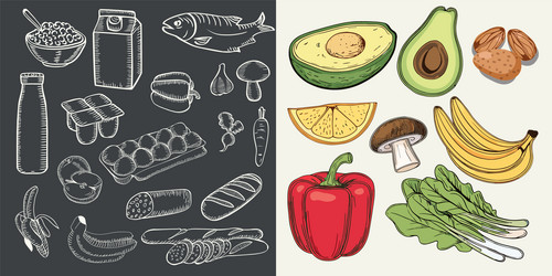 collection with a of dairy farm Vector Image