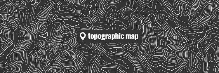 Topographic Contour Map vector image