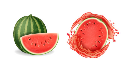 Realistic detailed 3d fresh whole watermelon fruit vector