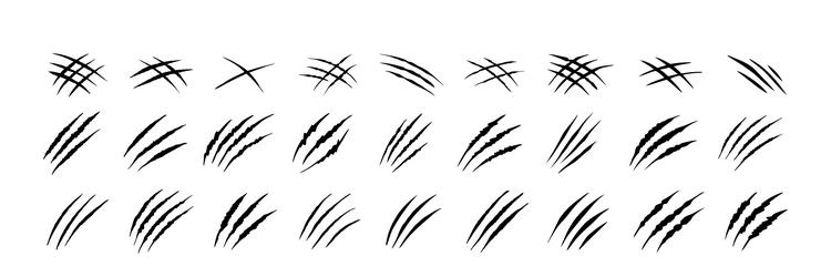 claw scratches isolated black bear tiger claws Vector Image
