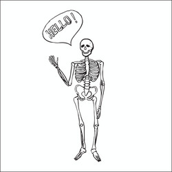 Fun smiling affably waving skeleton vector