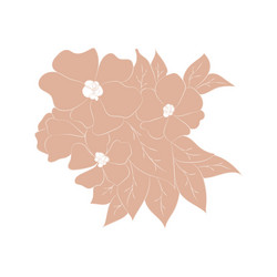 Brown beige nude flowers one line drawing Vector Image
