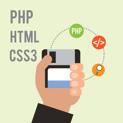 program coding website vector image