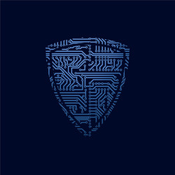 Data Security Shield Icon vector image