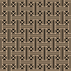 Geometric Pattern with Lines vector image