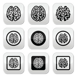 human brain icons set - intelligence creativity c vector