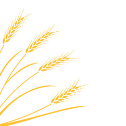 Ripe Wheat Field Royalty Free Vector Image - VectorStock