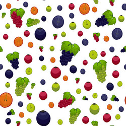 on theme big colored seamless grape vector image