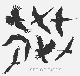 set of silhouettes birds Vector Image
