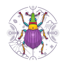 insect beetle bug design elements line graphic vector image
