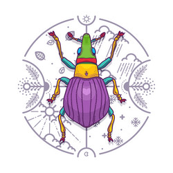 Insect beetle bug design elements line graphic vector