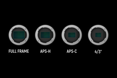 Full frame and crop image sensor set vector