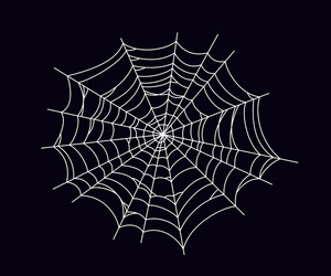 round scary spider web white cobweb silhouette vector image