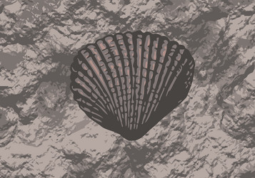 Ancient Shell Fossil vector image