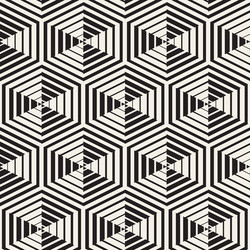 seamless pattern with lines lattice vector image