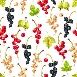 seamless pattern with varicolored currant vector image