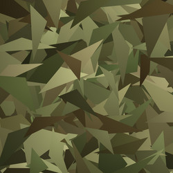 Abstract Camouflage Splash Pattern vector image